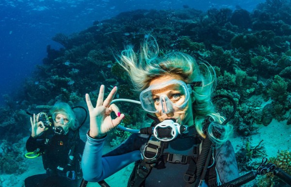 Daily Scuba Diving Trips ( 2 Dive & Wreck ) In Hurghada.