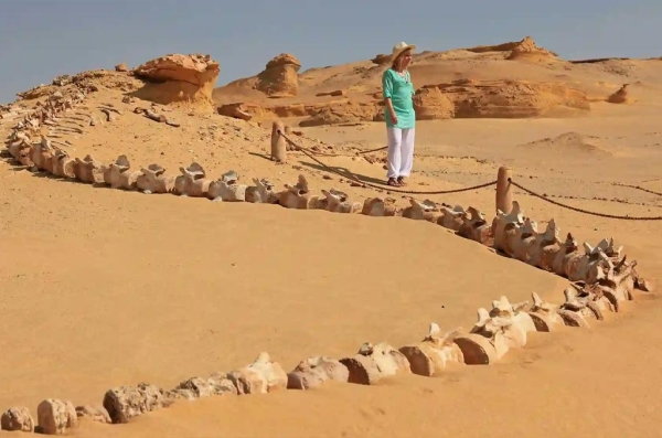 7 Days in Cairo and the Fayoum Oasis